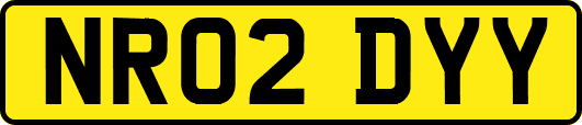 NR02DYY