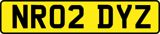 NR02DYZ