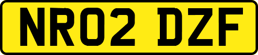 NR02DZF