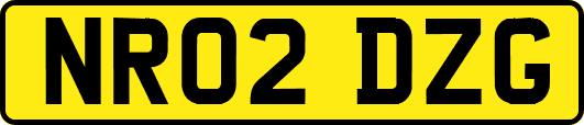 NR02DZG