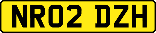 NR02DZH