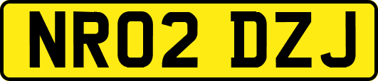 NR02DZJ