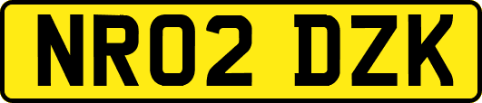 NR02DZK