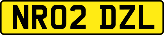 NR02DZL