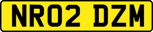 NR02DZM