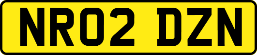NR02DZN