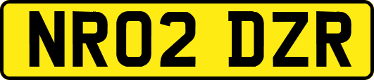 NR02DZR