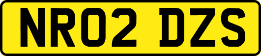 NR02DZS