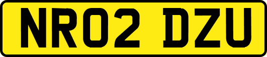 NR02DZU