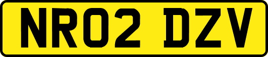NR02DZV
