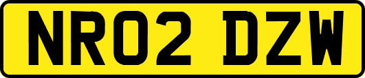 NR02DZW