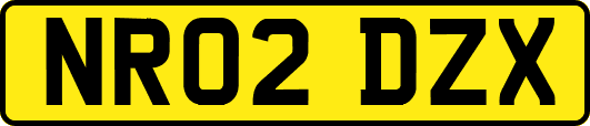 NR02DZX