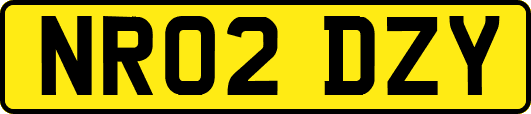 NR02DZY
