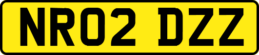NR02DZZ