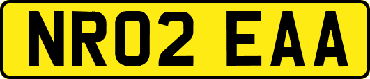 NR02EAA