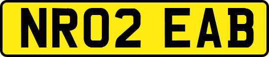 NR02EAB
