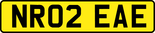 NR02EAE