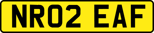 NR02EAF