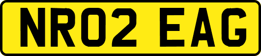 NR02EAG