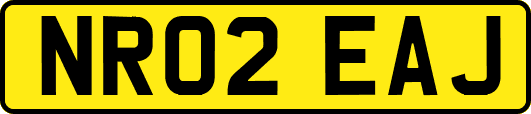 NR02EAJ