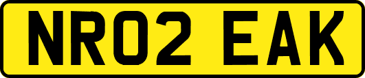 NR02EAK