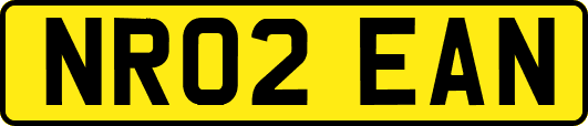 NR02EAN