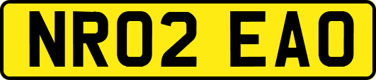 NR02EAO