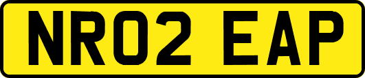 NR02EAP