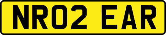NR02EAR