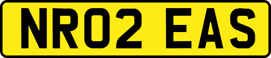 NR02EAS