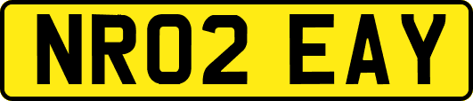 NR02EAY