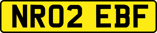 NR02EBF