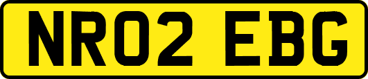 NR02EBG