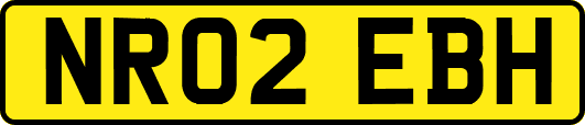 NR02EBH