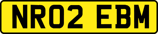 NR02EBM
