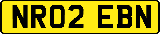 NR02EBN