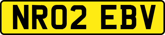 NR02EBV