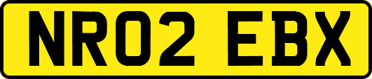 NR02EBX