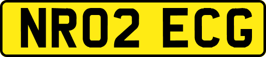 NR02ECG