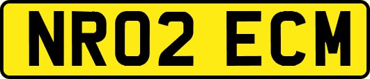 NR02ECM
