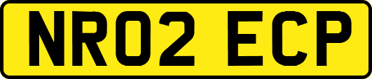 NR02ECP