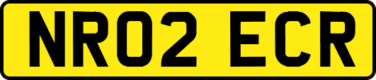 NR02ECR