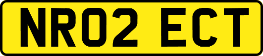 NR02ECT