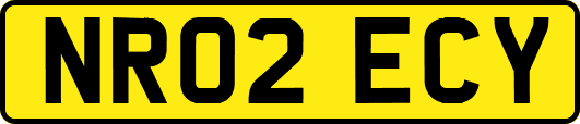 NR02ECY