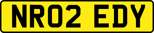 NR02EDY