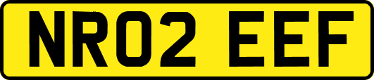 NR02EEF