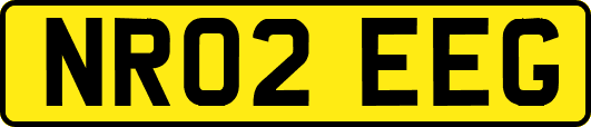 NR02EEG