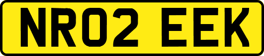 NR02EEK