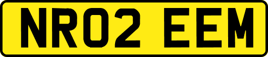 NR02EEM