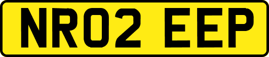NR02EEP